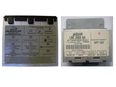 TMPro Module 50
