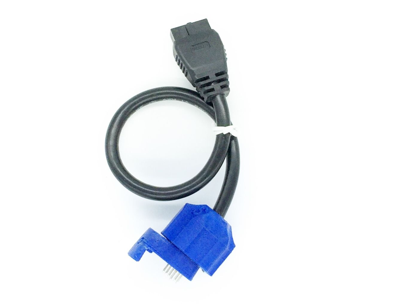 eVo-3 - '00-'05 Beetle