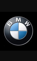 BMW CAS 4 Remote
