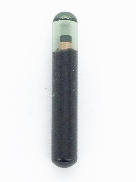 Z4C
